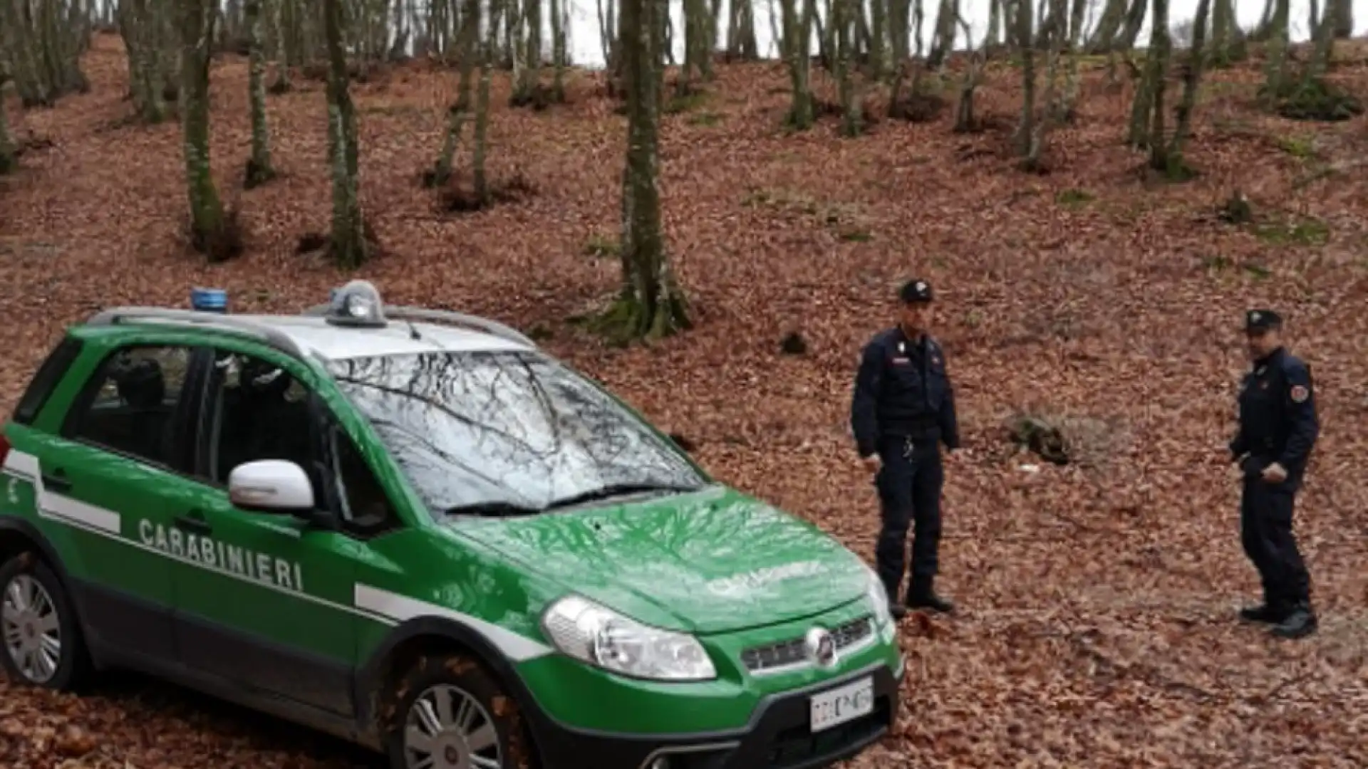 Cercatore di tartufi abusivo beccato dai Carabinieri Forestali a Capracotta.